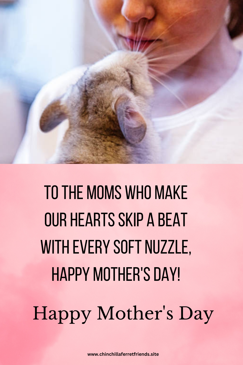 Chinchilla Moms this Mother's Day