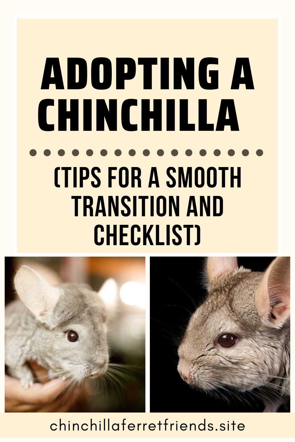 Adopting a Chinchilla
