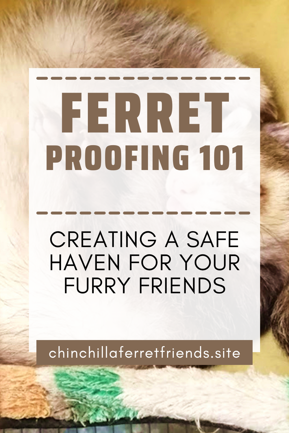 Creating a Safe Haven for Your Furry Friends