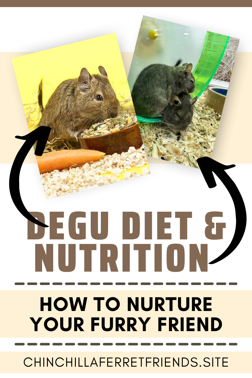 degu diet & nutrition