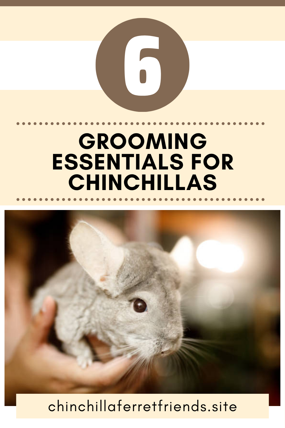 6 Grooming Essentials for Chinchillas
