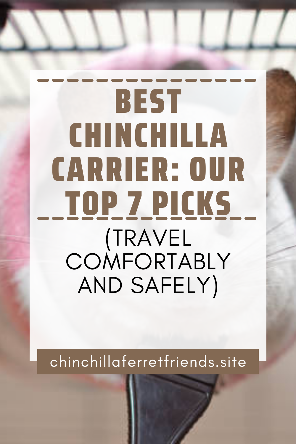 Best Chinchilla Carrier