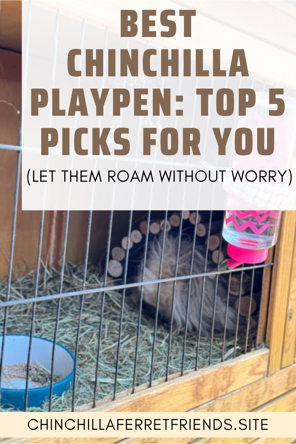 Best Chinchilla Playpen: Top 5 Picks for You