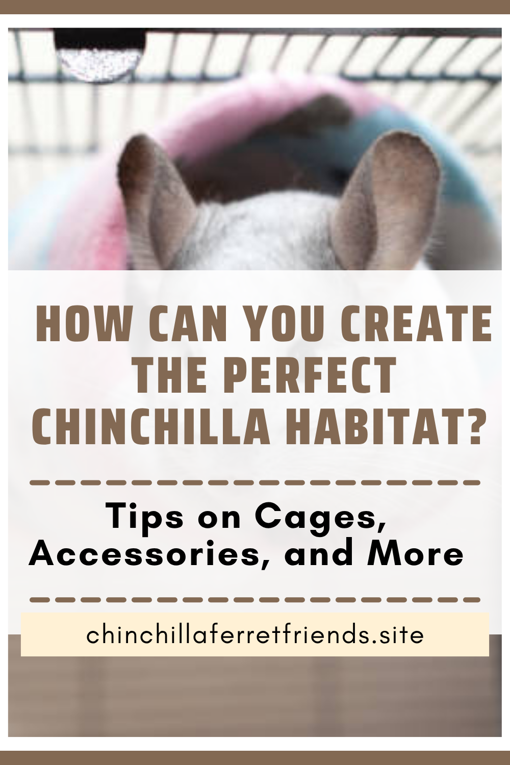 Chinchilla cage