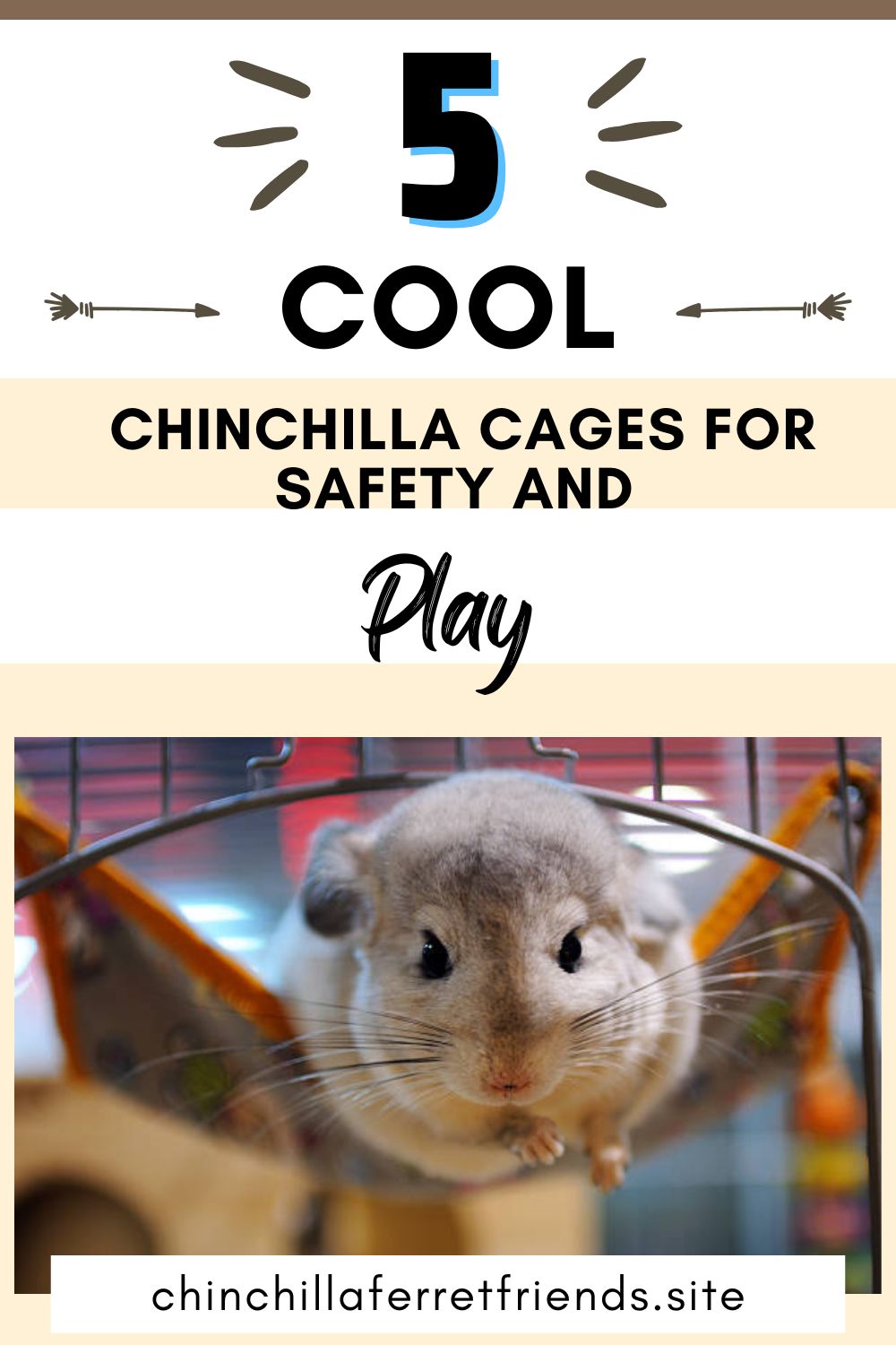 Best Chinchilla Cages