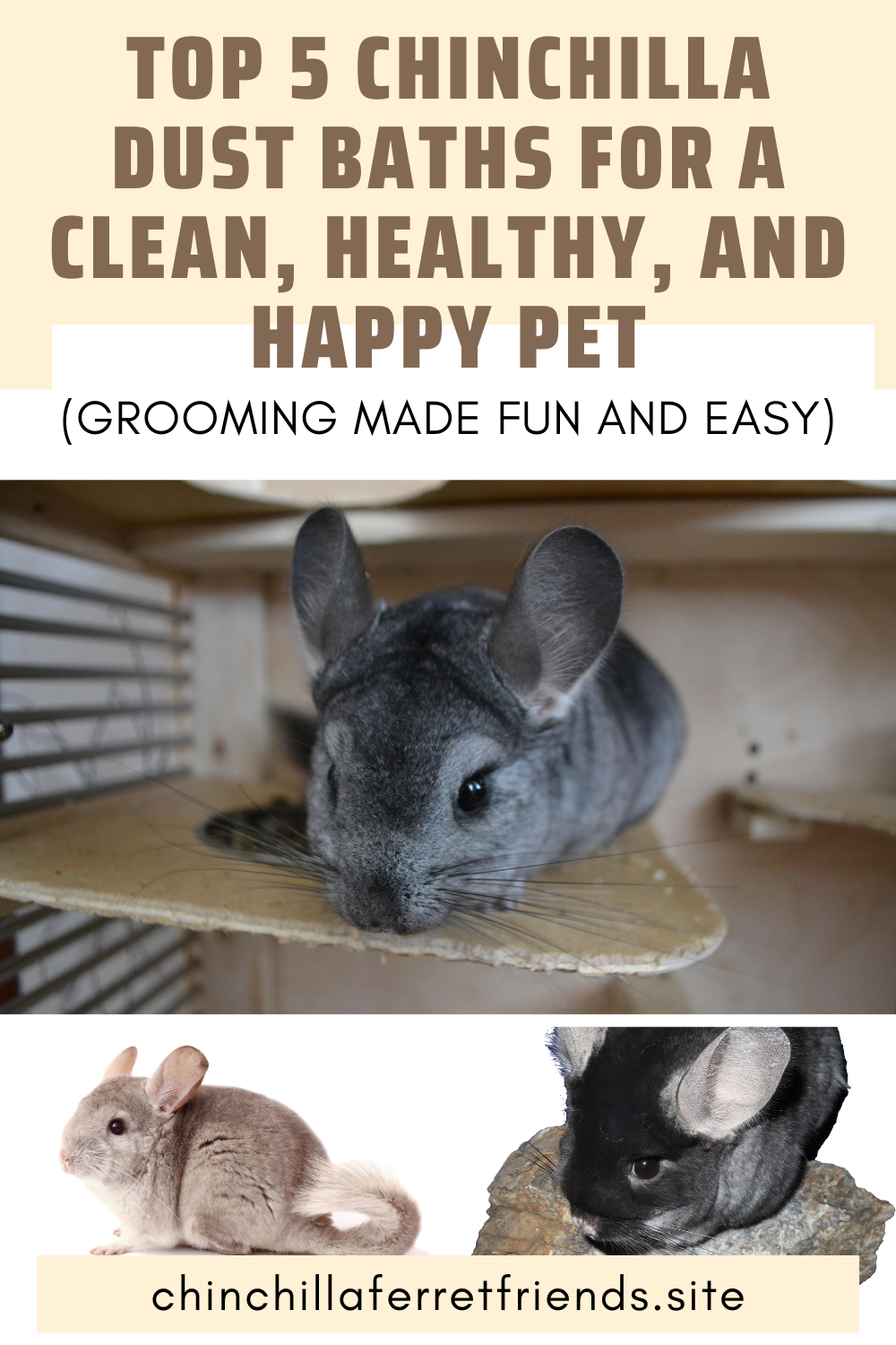 Best Chinchilla Dust Baths