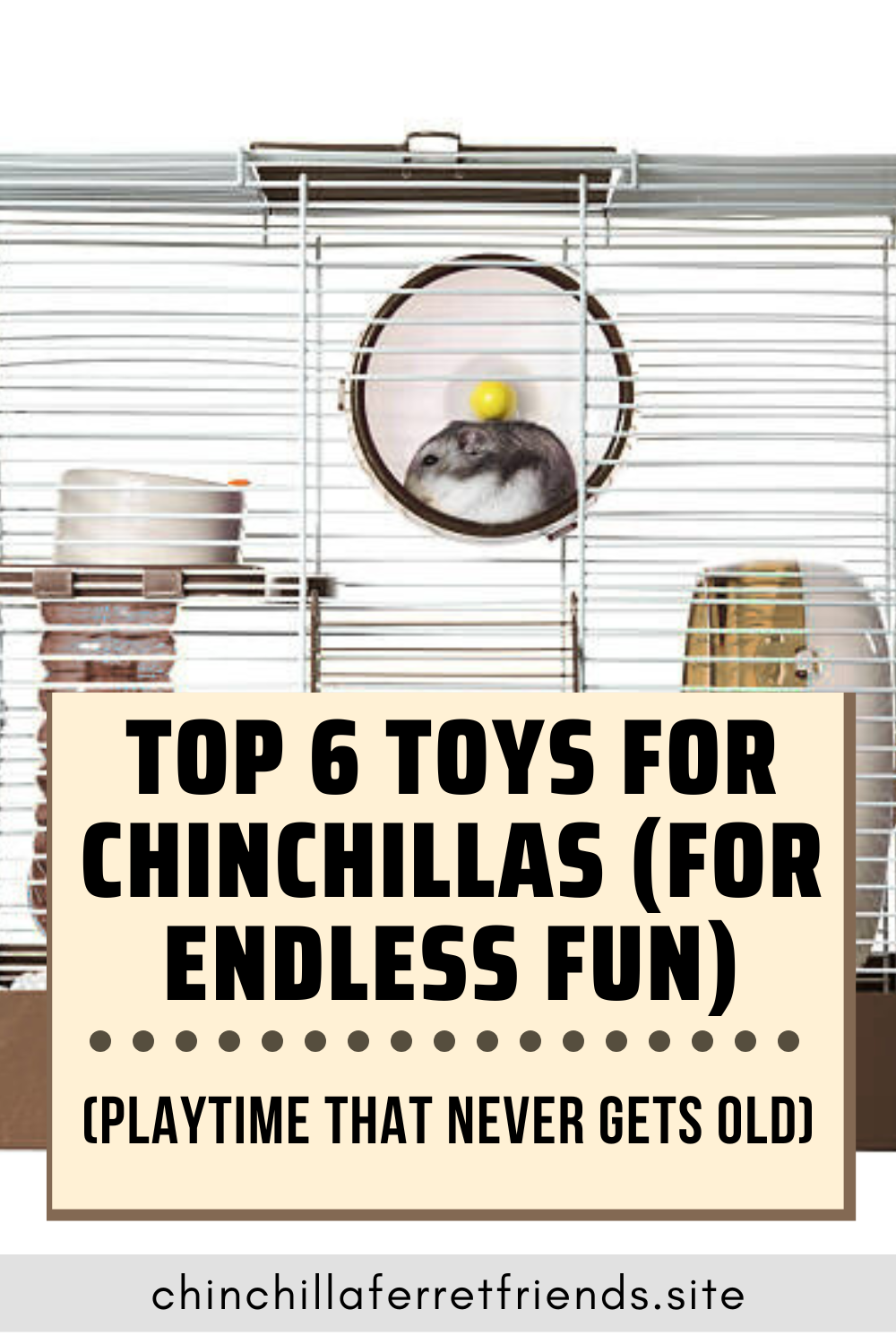 Toys for Chinchillas