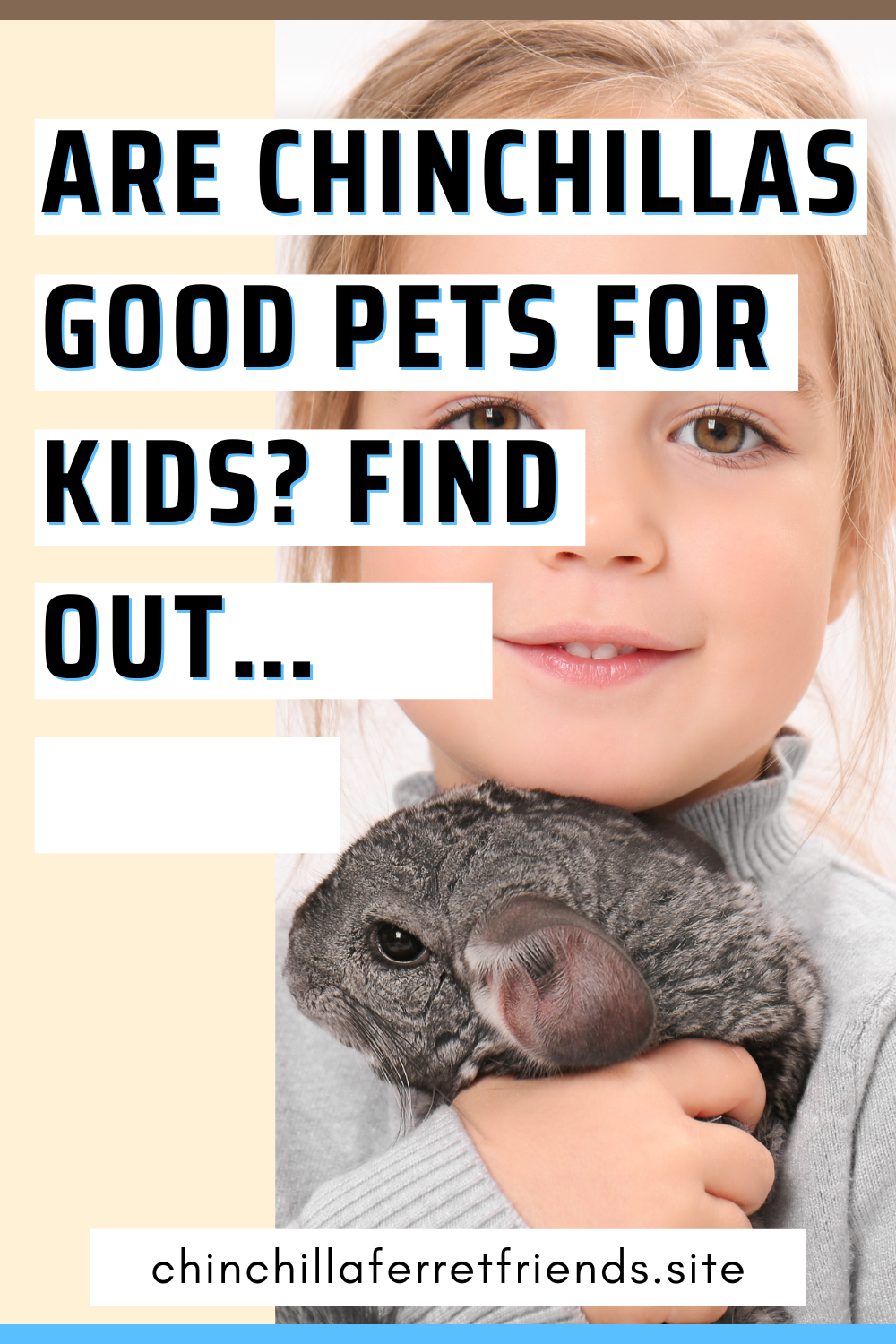 Chinchilla good for kids