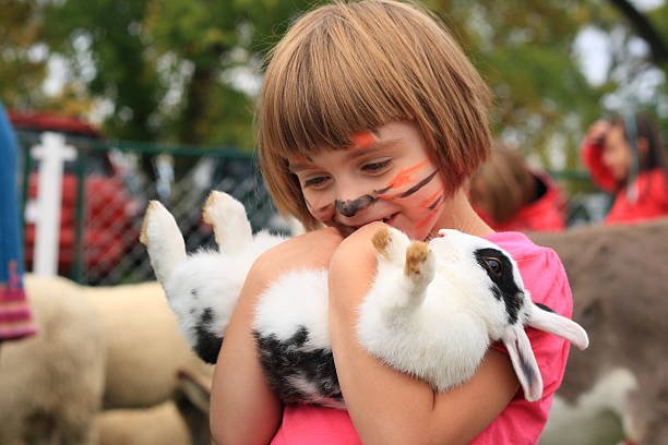 Best Rabbit Breeds for Kids: Gentle, Cuddly & Beginner-Friendly Choices